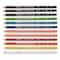 Prismacolor® Scholar™ 12 Colour Pencil Set